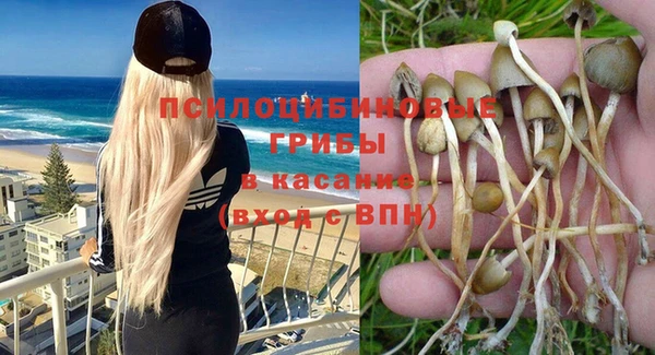 дмт Алексин