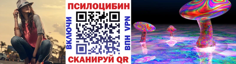 Галлюциногенные грибы Psilocybe  Чусовой 